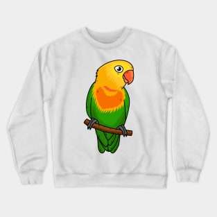 Cute lovebird cartoon parrot Crewneck Sweatshirt